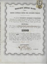 1858 CAVARZERE * ARTIFICIAL DRYING MECHANICAL FOREST CONSORTIUM