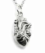 Sterling Silver Anatomical 3D Heart Charm Necklace-C42