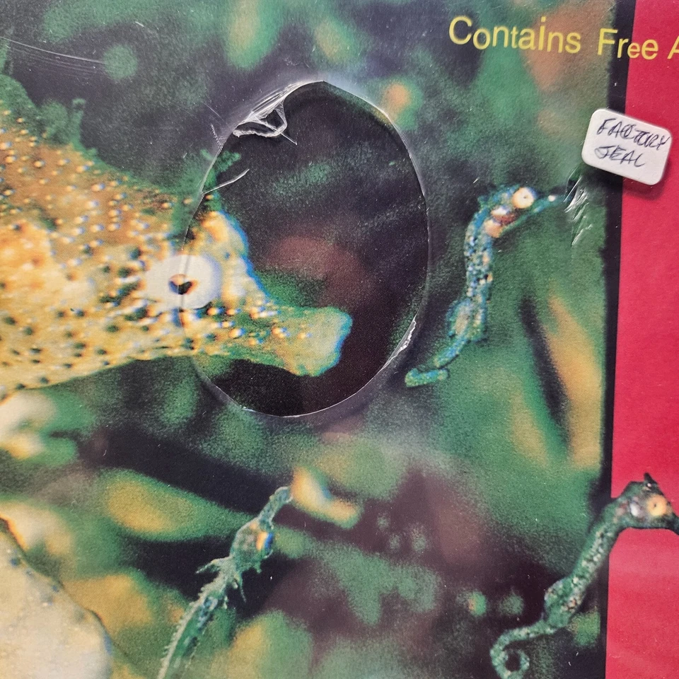 Nirvana - All Apologies / Rape Me / MV - 1993 GRUNGE ROCK 12" 45RPM - NOS SEALED Foto 3 de 3