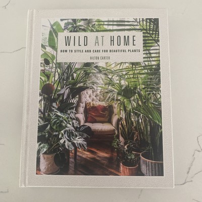 Wild at Home: How to style and care for beautiful plants