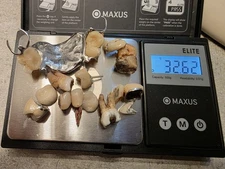 Scrap Dental Gold Bridge Total Weight 32.62 grams