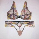Victoria Secret Bra Set 34D Unlined Plunge Medium Thong Panty Embroidered Sheer