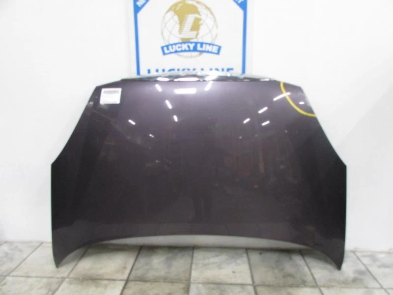 02 03 04 05 06 07 Capucha BUICK RENDEZVOUS Foto 2 de 4