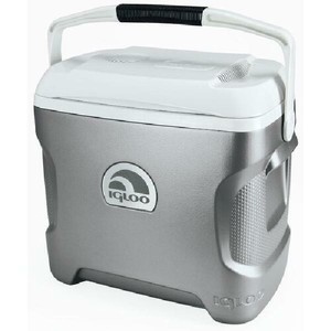 electric cooler lunch box