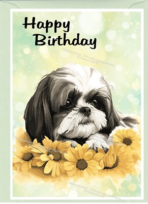 Geburtstagskarte Shih Tzu Hund (4''x 6'') - innen leer - von Starprint