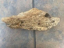 Natural Driftwood for Plants Terrarium Taxidermy Art Projects