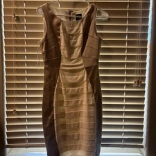 Jax Semi Formal Gown SZ 2  Shades Of Champagne