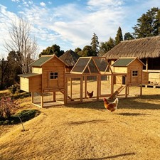 Outdoor Wooden Chicken Coop Multi-Level Hen House, Poultry Cage w/Ramps and Box
