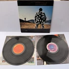 PINK FLOYD - DELICATE SOUND OF THUNDER ORIGINAL EXCELLENT 1988 US 2X LP VINYL