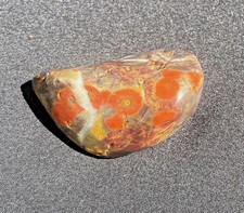 MORGAN HILL POPPY JASPER A GRADE SANDED OPEN OUTRAGOUS NUGGET 56 GRAMS 2 OZ