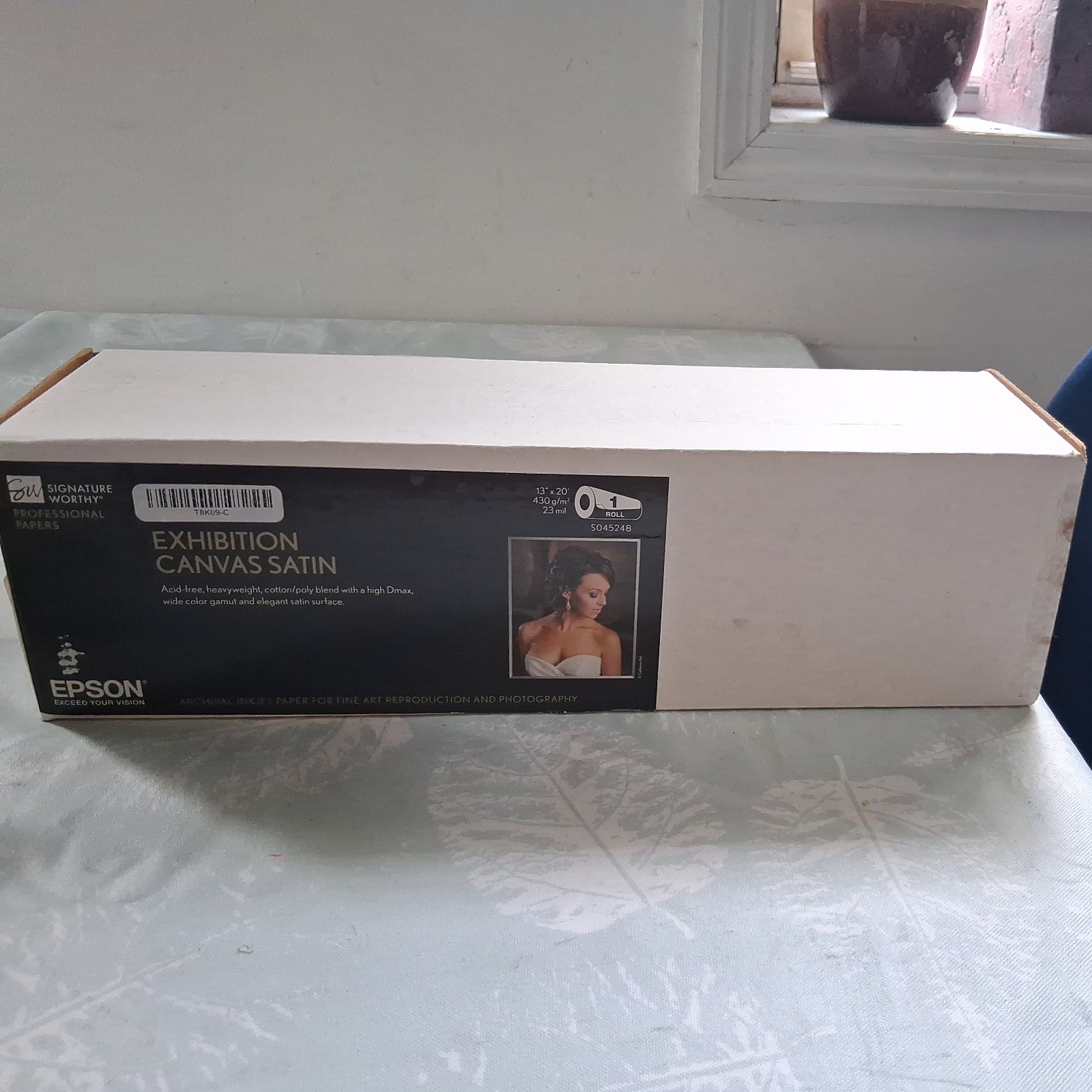 Epson Exhibition Canvas Satin S045248 13