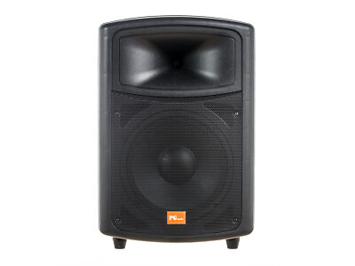 PG Audio PA 120 PA Lautsprecher 12 Zoll 200W RMS 400W Speakon 8 Ohm 1 Stück