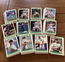1992 Donruss Baseball The Rookies Lot Of Approx 300