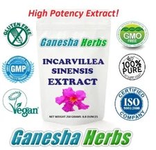 INCARVILLEA SINENSIS EXTRACT POWDER HIGH POTENCY 8.8 OZ. BULK LEGAL PAIN RELIEF