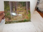 QUAIL FOREVER 2026 THIRTEEN MONTH CALENDAR — photo 4