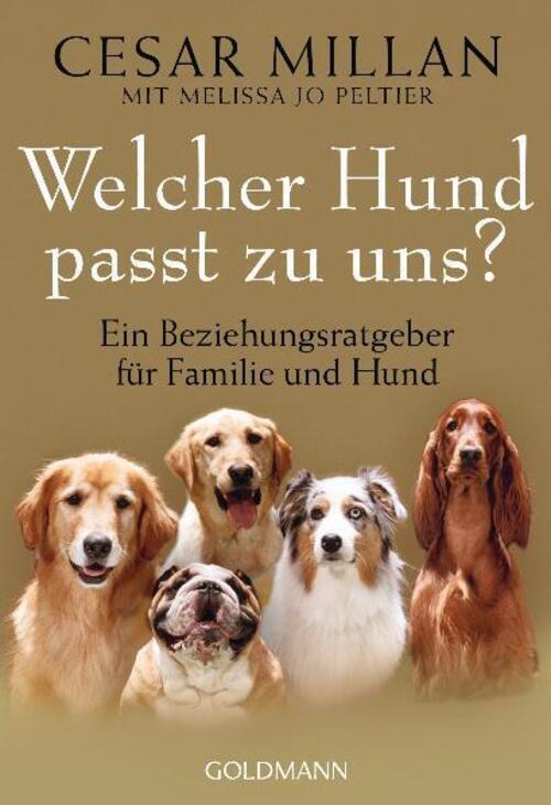 Thumbnail - Welcher Hund Passt Zu Uns? | Cesar Millan (u. A.) | Taschenbuch | 382