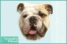 BULLDOG Head Vinyl Decal #2 Car Truck Dog Sticker