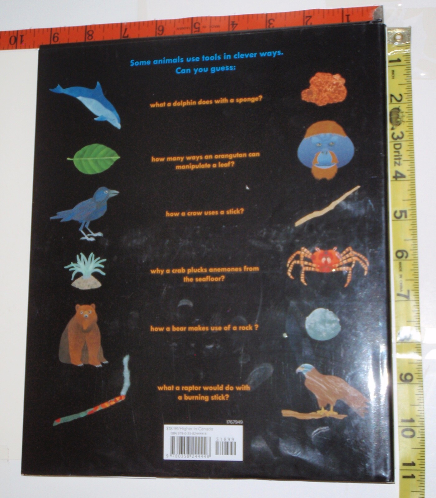 the-animal-toolkit-by-steve-jenkins-and-robin-page-2022-first-edition
