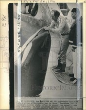 1971 Press Photo Prime Minister Pierre Trudeau pats killer whale  Skana , Canada