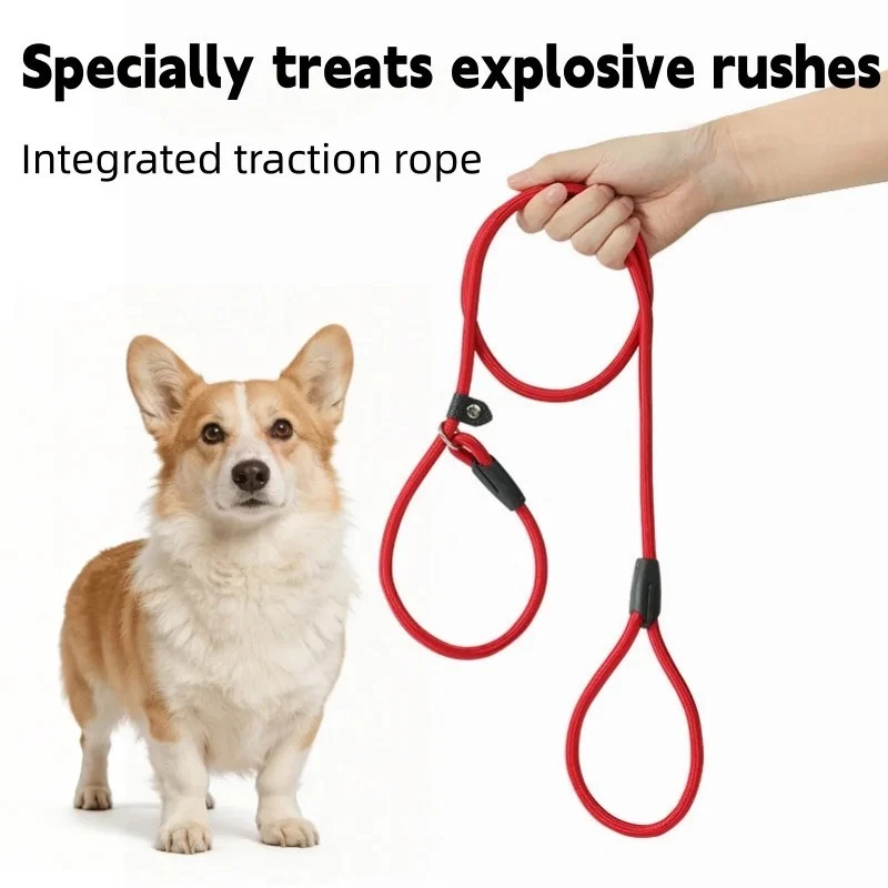 Dog Training Correction Leash Lead Cesar Puppy Pets Millan Slip Nylon Rope AU