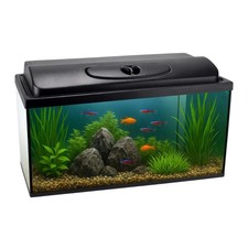 Aquarium rechteckig 60x30x30 cm 54 L mit Abdeckung inkl. LED Beleuchtung Set 60