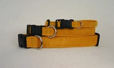 New! Organic Cotton Corduroy Dog Collar Marigold - Made in the USA