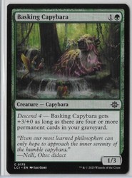 Basking Capybara - 175 - The Lost Caverns of Ixalan