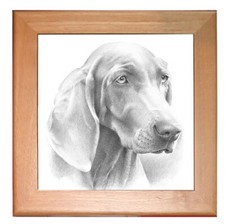 Weimaraner Dog Kitchen Ceramic Trivet Framed in Pine 8" x 8"