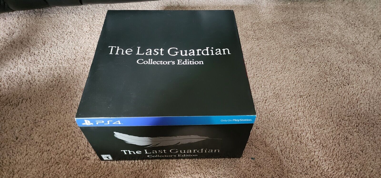 Last Guardian Collector's Edition (Sony PlayStation 4) ps4 Complete in Box  711719505471