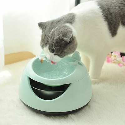 pet water fountain dispenser