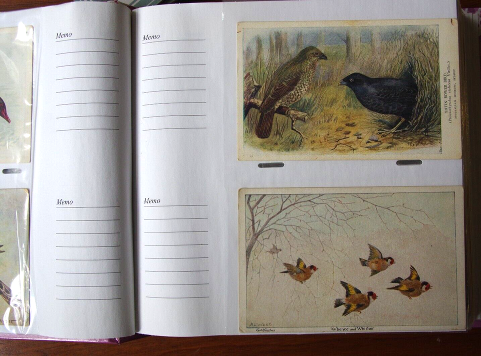 150 vintage postcards in album eBay