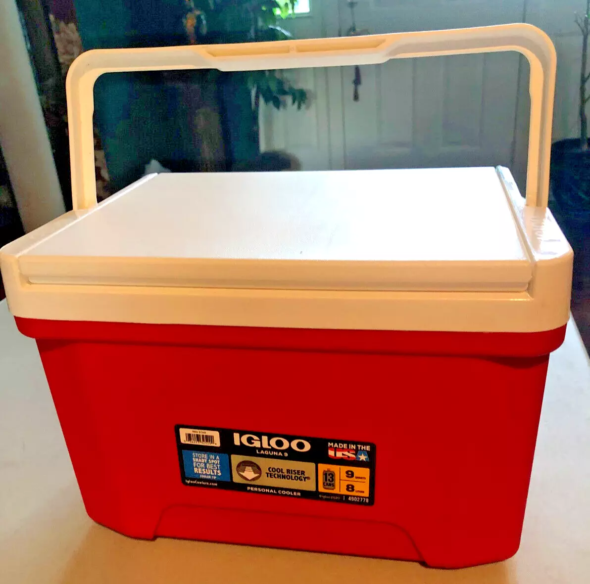 Igloo store cooler ebay
