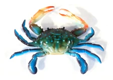 Hand Painted Blue Crab Refrigerator Magnet 3.5" 36D