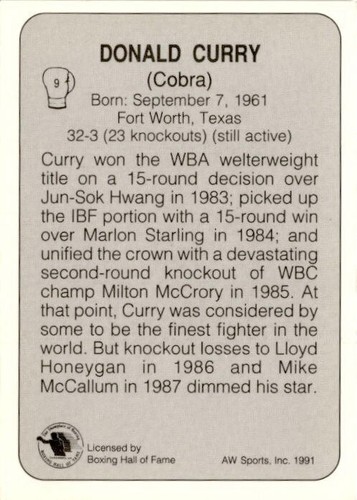 Vintage AW Sports 1991 All World Boxing Premier Edition Single Cards - You Pick - Picture 19 of 225