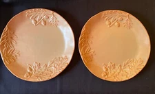 Biltmore Estate Inspirations Olmsted Oak Dinner Plates New Box of 2 Plates 