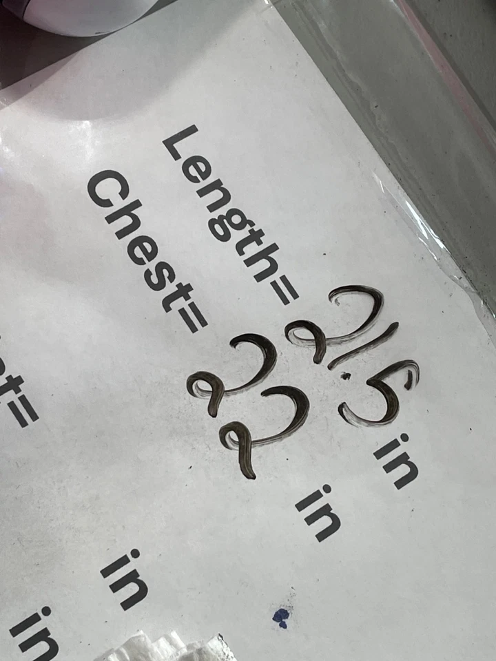 Camiseta sin mangas estampada Free People Love talla grande sin mangas cuello redondo estampado animal Foto 3 de 4