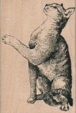 Kitty Pawing 2 3/4 x 4" Rubber Stamp, Cat Stamp, Cat Lover Stamp