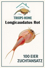 Triops Longicaudatus Rot Urzeitkrebse Eier - ...
