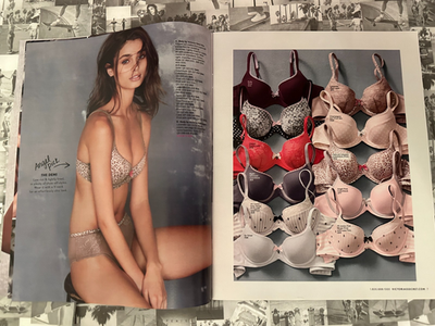 Victoria's Secret Fall Fashion vol.1 2015 Taylor Hill sexy cover Angels  Catalog