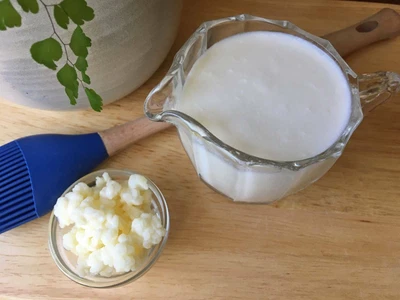 Kefir Grains In Melbourne Region Vic Miscellaneous Goods Gumtree Australia Free Local Classifieds