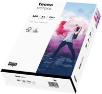 Inapa Farbiges Druckerpapier Buntes Papier Tecno Colors 160G A4 250 Blatt Weiß