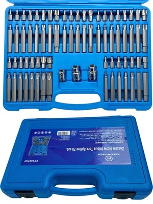 75tlg. Stecknuss Bits Set für Inbus Torx Ribe Hex Vielzahn Einsätze Schraube Bit