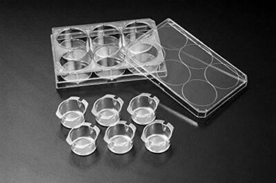 SPL Inserts Hanging PC membrane Translucent, 24 mm diameter, 8.00 µm pore, Steri