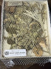 Vermont Meadow Pressed Flowers With Cards Envelopes Crafting Kit