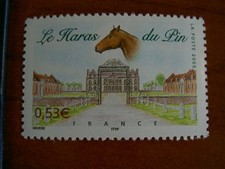 France 3808 ** cheval Haras du Pin  en 2005