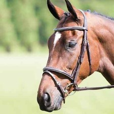 Shires Horse Avignon Padded Raised Leather Flash Bridle Havana Brown Size Full