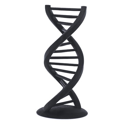DNA Double Helix, 3D Printed