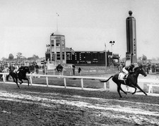 Triple Crown Horse CITATION Glossy 8x10 Photo Print Kentucky Derby Poster