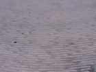 Bild 4 von 9