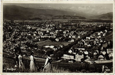 CPA Maribor Slowenien (1463963)